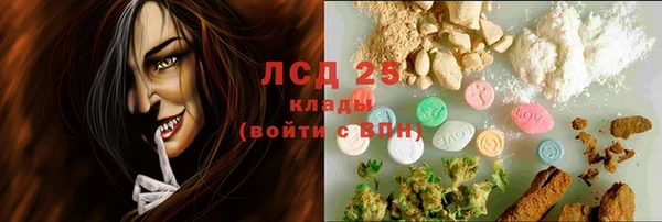 ГАЛЛЮЦИНОГЕННЫЕ ГРИБЫ Краснослободск