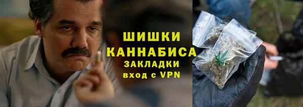 ГАЛЛЮЦИНОГЕННЫЕ ГРИБЫ Краснослободск