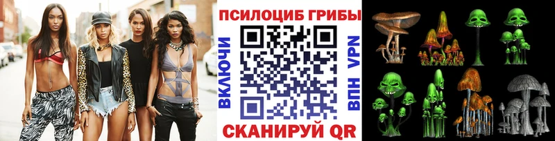 Купить где  Горно-Алтайск  Галлюциногенные грибы прущие грибы 